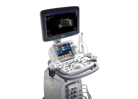 4D Trolley Color Doppler Ultrasound Machine 4 Probes Connector 18.5 Inch